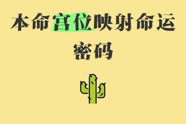 命运密码：如何通过命理宝鉴丙破解人生玄机