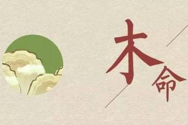 五行格局揭秘：嘉的运势密码，性格解析如何助你乘风破浪？
