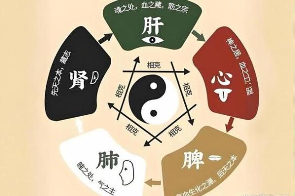 如何改变五行格局？揭秘器官与性格的奥秘之道