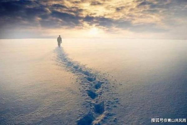 如何改变翁帆的命运密码，破解八字中的暗藏玄机