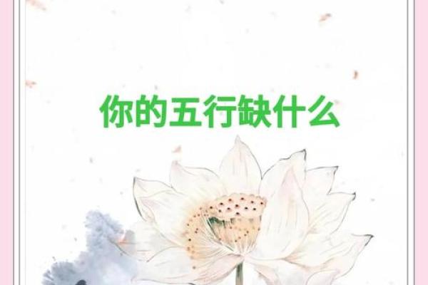 性格解析：揭秘五行对个人命运的影响，如何找到你的五行格局优势？