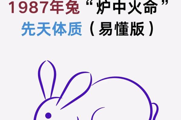 五行性格反而更强大？毛的秘诀，教你如何利用弱点