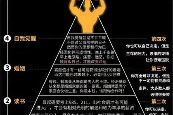 八字命理，命运背后的秘密，如何改变你的未来？