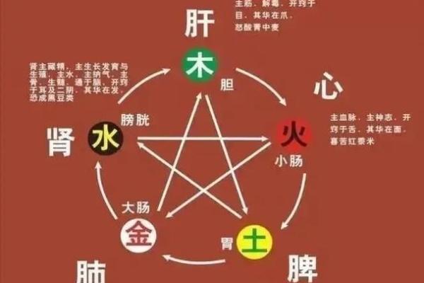五行格局揭秘：顺的智慧如何影响你的性格解析？