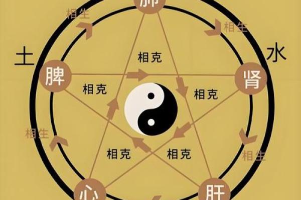 五行格局深度解析：揭秘性格密码，如何改变命运格局？