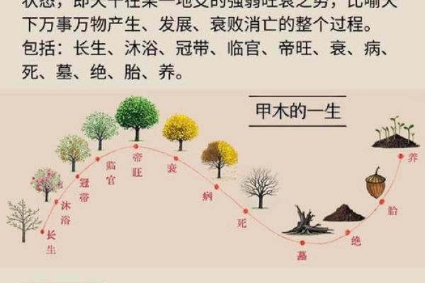 木性人格的误区与颠覆：如何正确运用五行力量，提升自我？