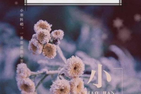 农耕季节的尾声：后的节令与养生之道