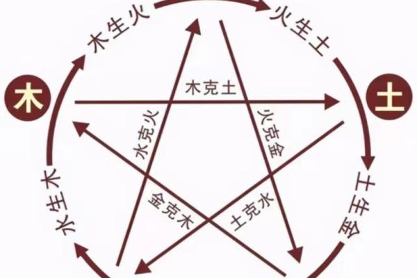 冠字五行格局颠覆传统：揭秘性格背后的神秘力量