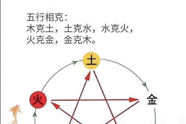 神秘五行密码：揭秘你的性格特质与人生格局