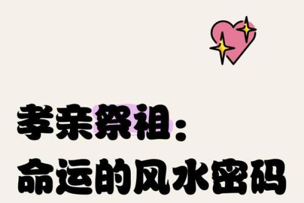 大S二胎命理：暗藏玄机，揭开命运密码背后的秘密