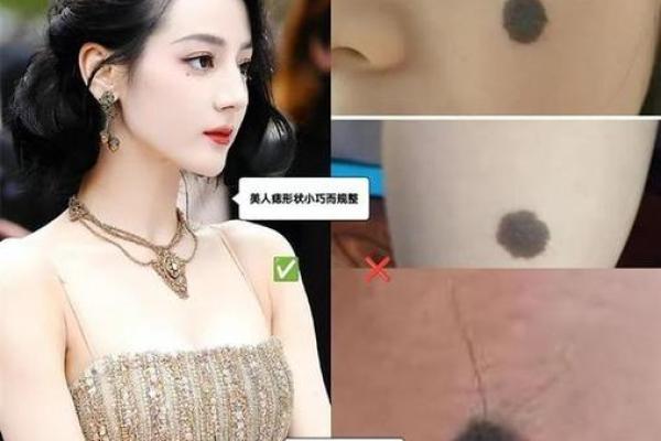 大S二胎命理：暗藏玄机，揭开命运密码背后的秘密