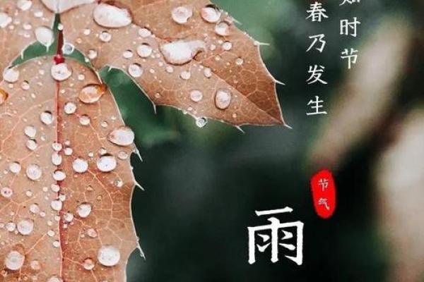 了解传统节气对农耕生活的影响