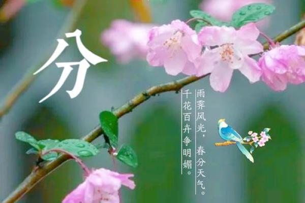 春分时节，如何利用天文规律调养身体？