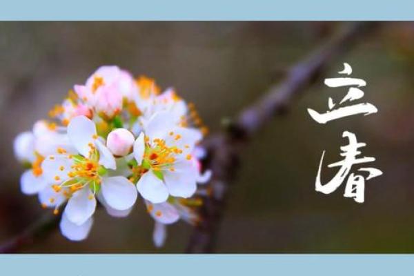 清明节的养生智慧：春季调养，保持身体和谐
