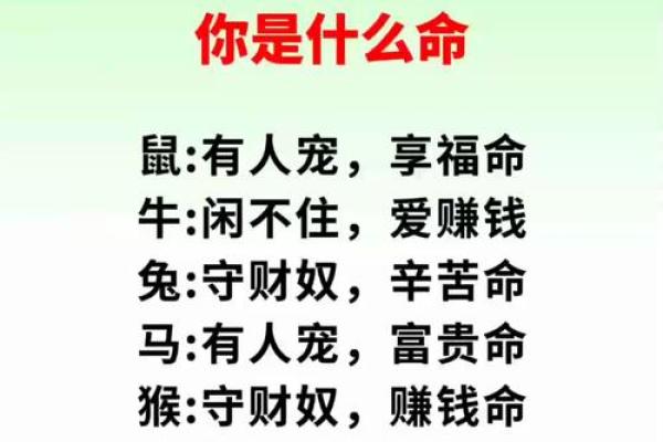 如何改变你的命运？八字命理中的暗藏玄机揭示