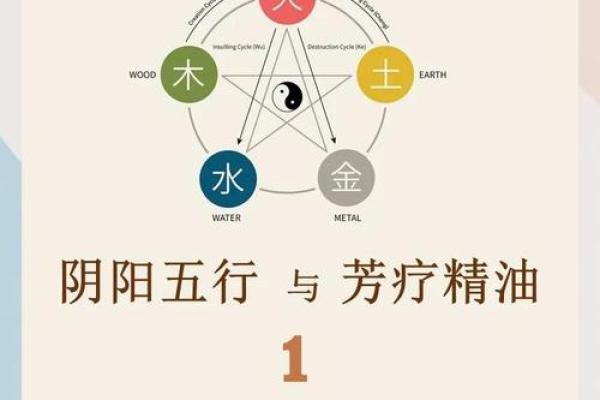 菲五行格局探秘：性格解析新视角，颠覆传统五行观