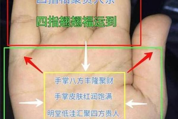 如何改变命运：颠覆传统命理观念，财旺官弱反而可能更有利？