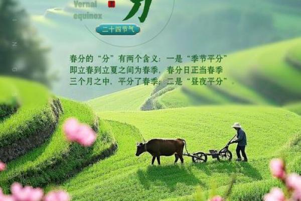 春分节气：与天文观察相结合的农耕智慧