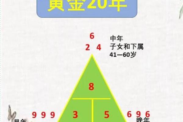 如何通过陈晓八字命理揭示命运密码，逆转未来走向？