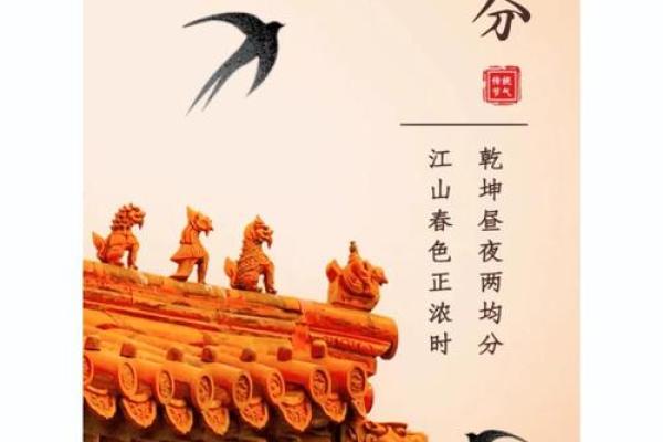 春分的诗词中藏着哪些养生智慧