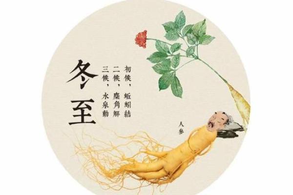 传统节日与中国传统养生智慧的深度结合
