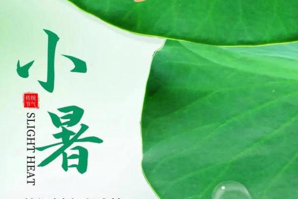 八月四日小暑，探寻农耕与节气的智慧