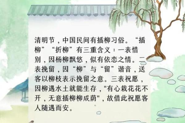 清明节：祭祖与踏青，清明节的传统习俗