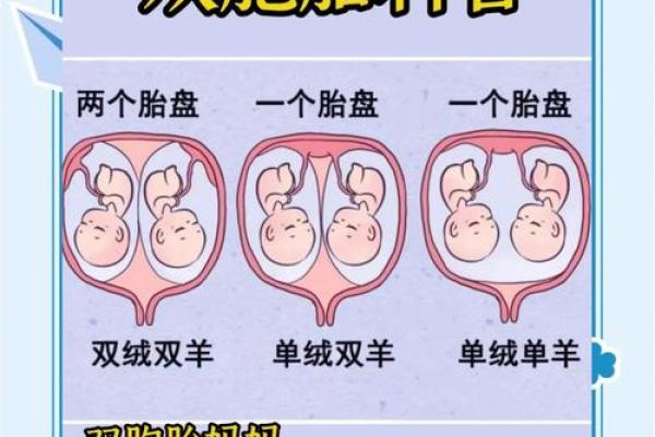 误区大揭秘：双胞胎八字分析的那些不为人知的真相