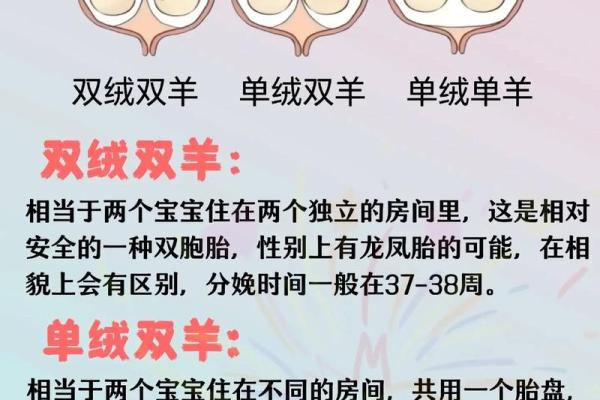 误区大揭秘：双胞胎八字分析的那些不为人知的真相