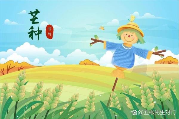 了解农耕节令：小满与丰收的隐喻