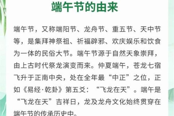 端午节与龙舟文化的历史渊源