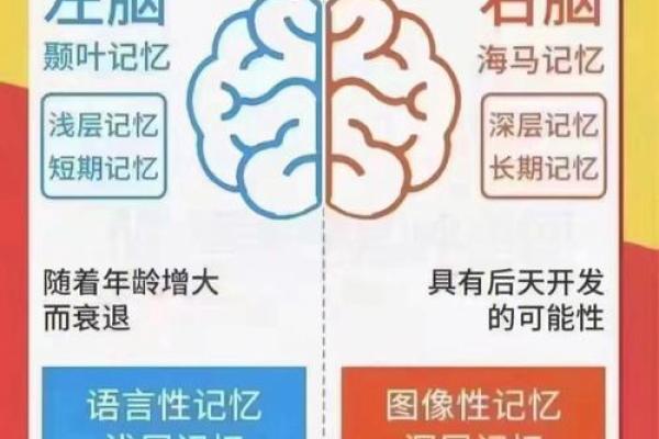 出生的命运密码：暗藏玄机，如何改变你的未来？