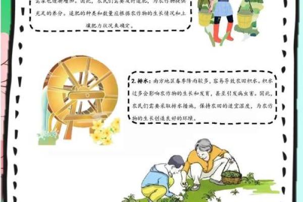 土族踏青节：探索传统节日背后的农耕与文化意义