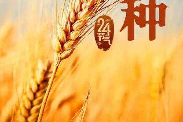 庆祝：从农耕节令看节日的深远影响