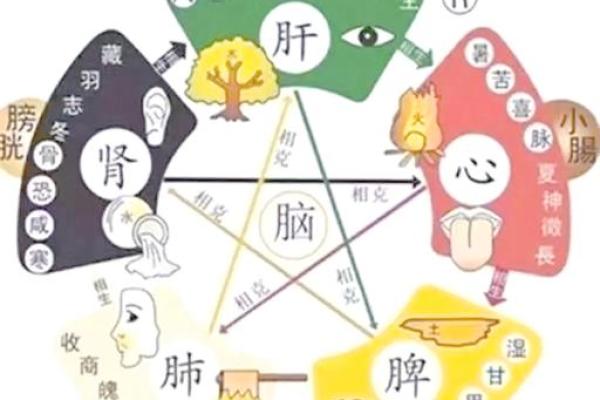 性格解析：沛的五行特质，你的命理运势如何？
