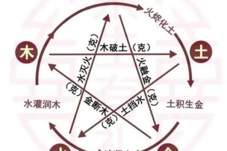 性格解析新视角：五行格局如何助力你找到人生方向？