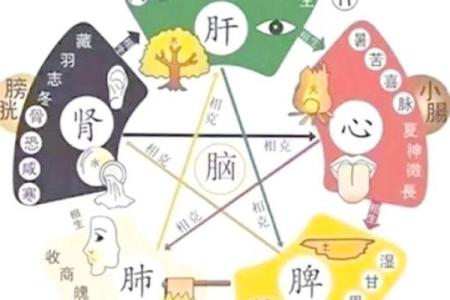 性格解析：沛的五行特质，你的命理运势如何？