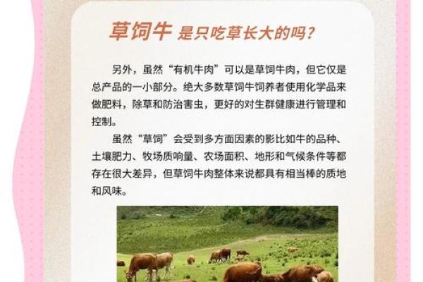 牛的节日与农业应用：如何通过庆典促进农产发展