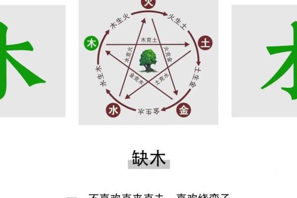 五行格局揭秘：揭开性格背后的神秘力量