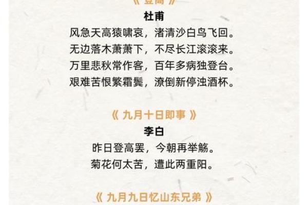 重阳节的文化传承与老年人敬重习俗