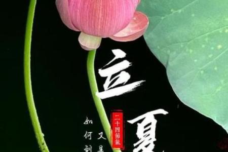 立夏：养生与自然节令的巧妙结合