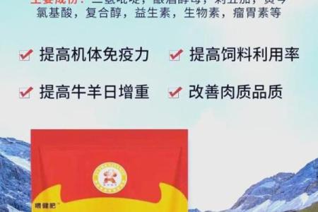 牛的节日与农业应用：如何通过庆典促进农产发展