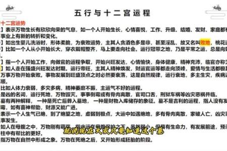五行性格解析，揭秘你的潜能与弱点