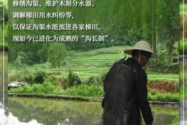 从彝族节日看农耕社会的生活智慧