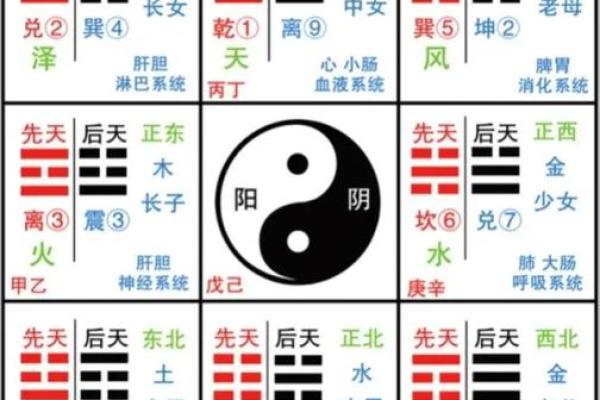 八字命理中的暗藏玄机，如何避开常见的命运误区