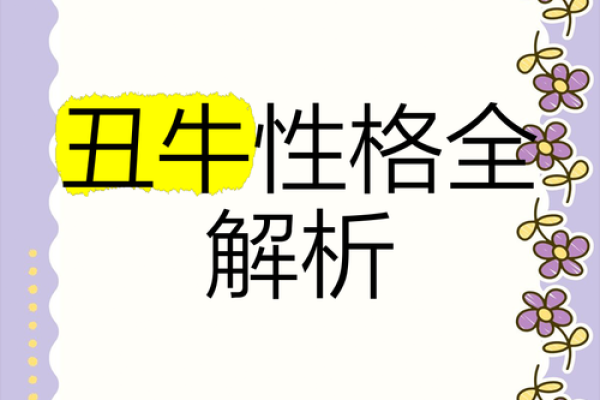 性格解析：火元素公司性格，如何驾驭热情与激情？