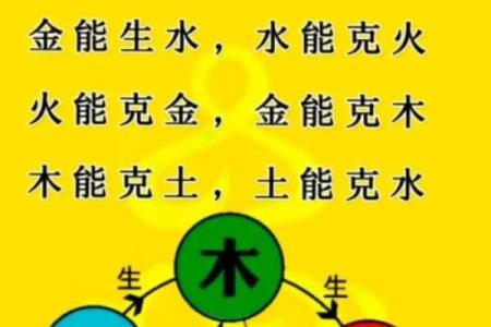 性格解析：五行中水和木的力量，如何影响你的命运格局？