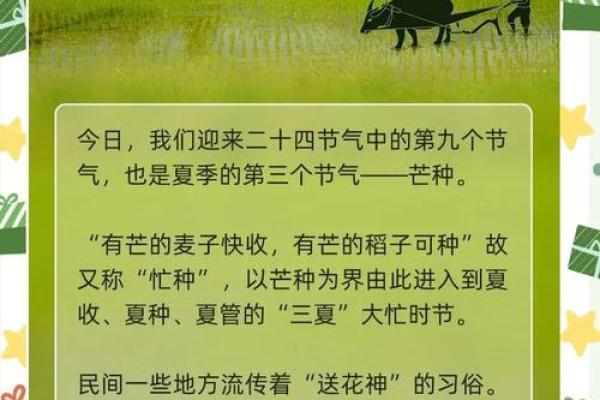 七月农耕节令：感受丰收的气息与农田的节奏