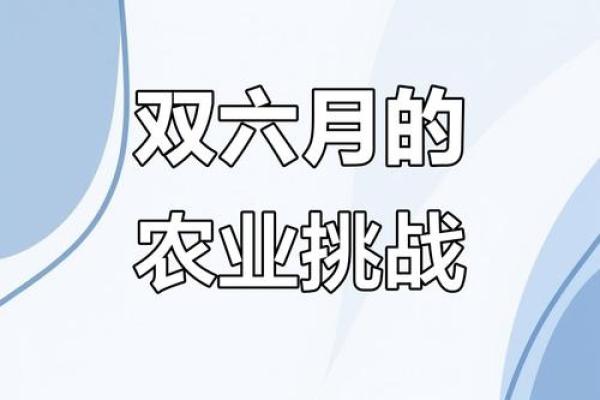 六月农耕节：古老节令与现代生活的完美结合