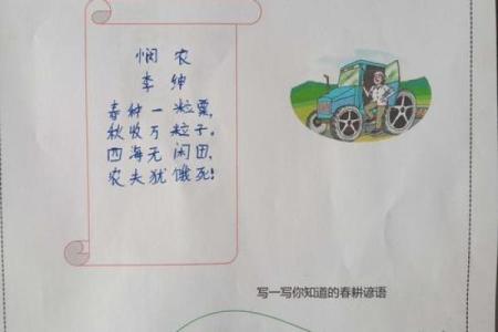 七月农耕节令：感受丰收的气息与农田的节奏